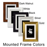 a set of five framed frames with the names of different frames