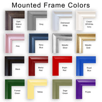 a group of different colored frames with the names of them